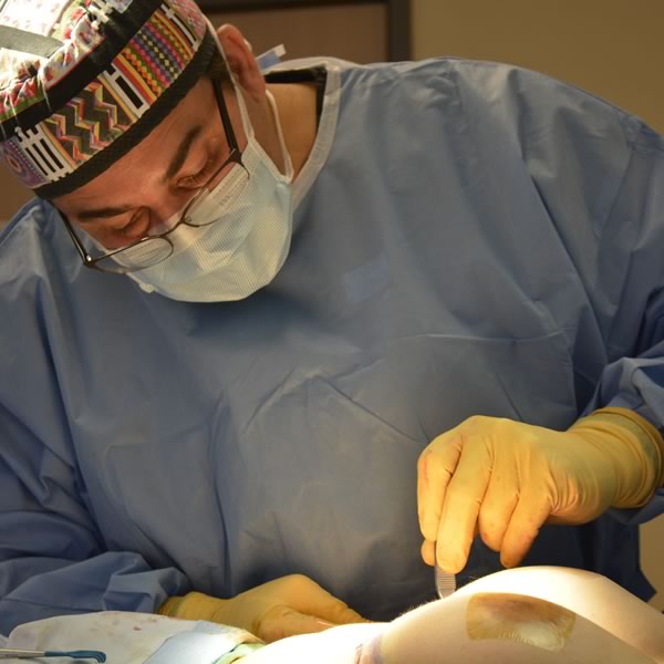 Breast Procedures - Dr. Max Polo